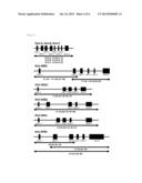 Method and Kit for DNA Typing of HLA Gene diagram and image