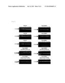 Method and Kit for DNA Typing of HLA Gene diagram and image