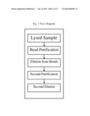 MICROFLUIDIC DEVICE-BASED NUCLEIC ACID PURIFICATION METHOD diagram and image