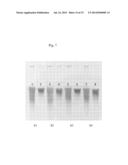 MICROFLUIDIC DEVICE-BASED NUCLEIC ACID PURIFICATION METHOD diagram and image