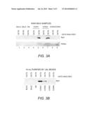 METHODS AND KITS FOR DETECTING MASTITIS diagram and image