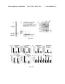 METHODS AND COMPOSITIONS OF DIAGNOSING AND TREATING FUSOBACTERIUM     NUCLEATUM RELATED DISORDERS diagram and image