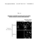 SPLIT PEROXIDASES AND METHODS OF USE diagram and image