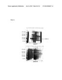 METHOD FOR QUANTIFICATION OF ALLERGENS diagram and image