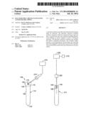 Dual Barcode Labeling Facilitating Automated Decapping diagram and image