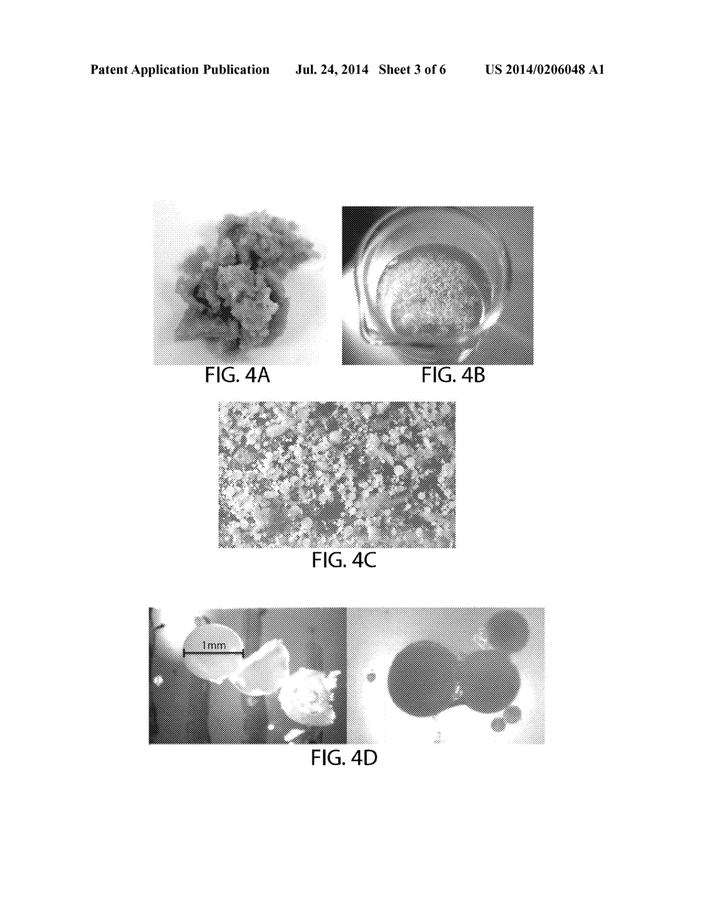 COMPOSITIONS AND METHODS FOR BIOFERMENTATION OF OIL-CONTAINING FEEDSTOCKS - diagram, schematic, and image 04