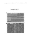 Transcriptome Transfer Produces Cellular Phenotype Conversion diagram and image