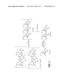 PROCESSING BIOMASS diagram and image