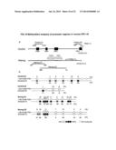 HUMAN PLURIPOTENT STEM CELLS INDUCED FROM UNDIFFERENTIATED STEM CELLS     DERIVED FROM A HUMAN POSTNATAL TISSUE diagram and image