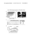 HUMAN PLURIPOTENT STEM CELLS INDUCED FROM UNDIFFERENTIATED STEM CELLS     DERIVED FROM A HUMAN POSTNATAL TISSUE diagram and image