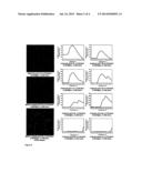 Methods for Analyzing Biological Macromolecular Complexes and use Thereof diagram and image