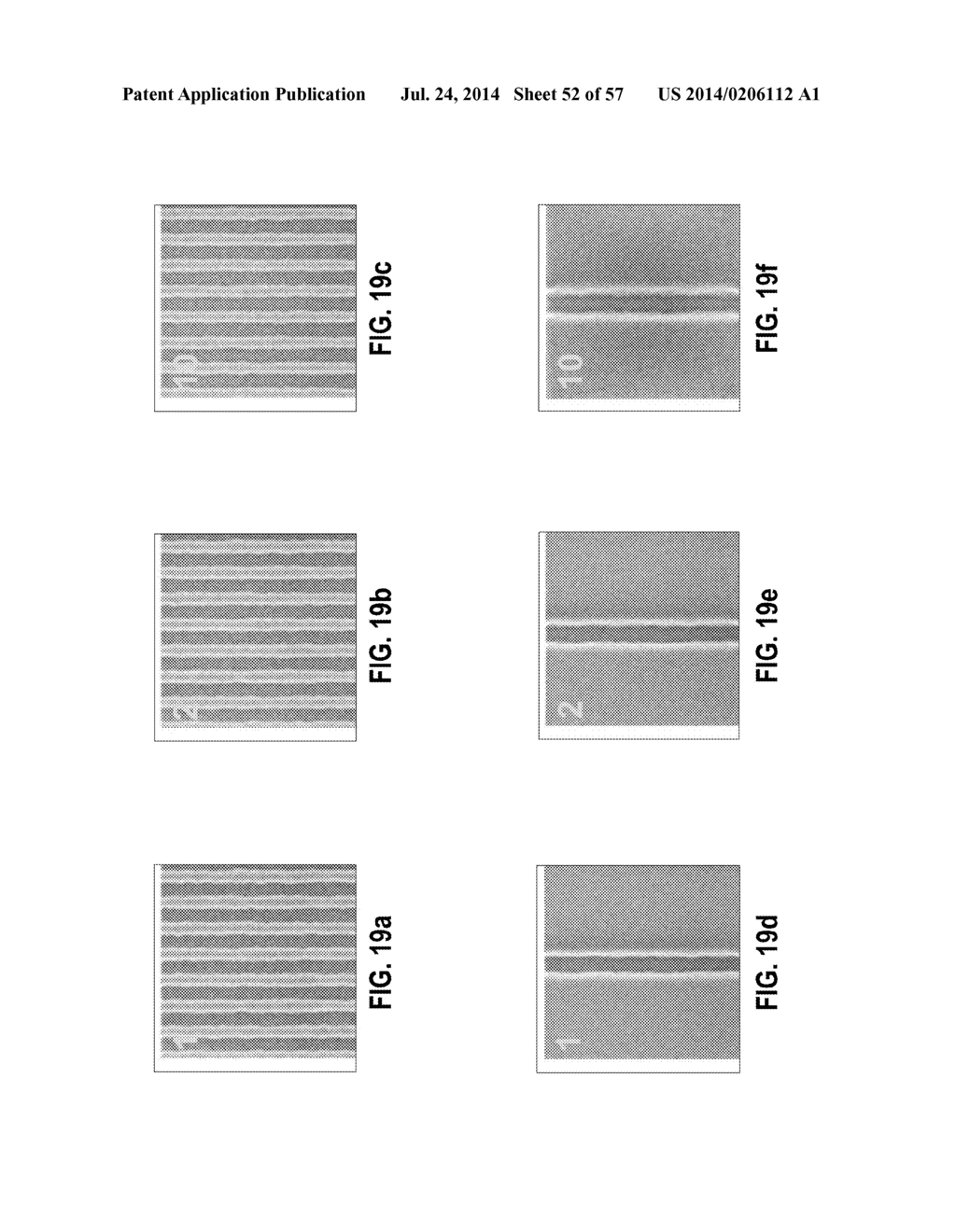 METHOD FOR REDUCING CHARGE IN CRITICAL DIMENSION-SCANNING ELECTRON     MICROSCOPE METROLOGY - diagram, schematic, and image 53