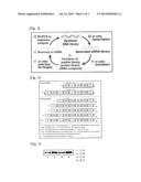 NUCLEIC ACID CONSTRUCT, NUCLEIC ACID-PROTEIN COMPLEX, AND USE THEREOF diagram and image