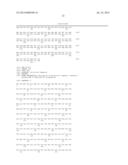 NUCLEIC ACID CONSTRUCT, NUCLEIC ACID-PROTEIN COMPLEX, AND USE THEREOF diagram and image