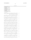 NUCLEIC ACID CONSTRUCT, NUCLEIC ACID-PROTEIN COMPLEX, AND USE THEREOF diagram and image