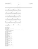 NUCLEIC ACID CONSTRUCT, NUCLEIC ACID-PROTEIN COMPLEX, AND USE THEREOF diagram and image