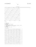 NUCLEIC ACID CONSTRUCT, NUCLEIC ACID-PROTEIN COMPLEX, AND USE THEREOF diagram and image