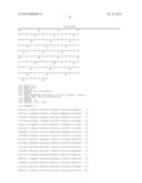 NUCLEIC ACID CONSTRUCT, NUCLEIC ACID-PROTEIN COMPLEX, AND USE THEREOF diagram and image