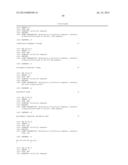 NUCLEIC ACID CONSTRUCT, NUCLEIC ACID-PROTEIN COMPLEX, AND USE THEREOF diagram and image