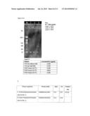 FABRICATION AND USE OF A MICROFLUIDICS MULTITEMPERATURE FLEXIBLE REACTION     DEVICE diagram and image