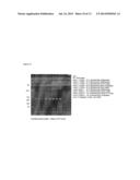 FABRICATION AND USE OF A MICROFLUIDICS MULTITEMPERATURE FLEXIBLE REACTION     DEVICE diagram and image