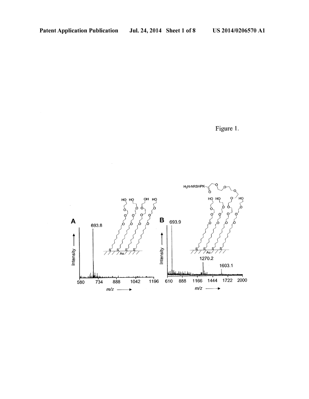 Characterization of biochips containing self-assembled monolayers - diagram, schematic, and image 02