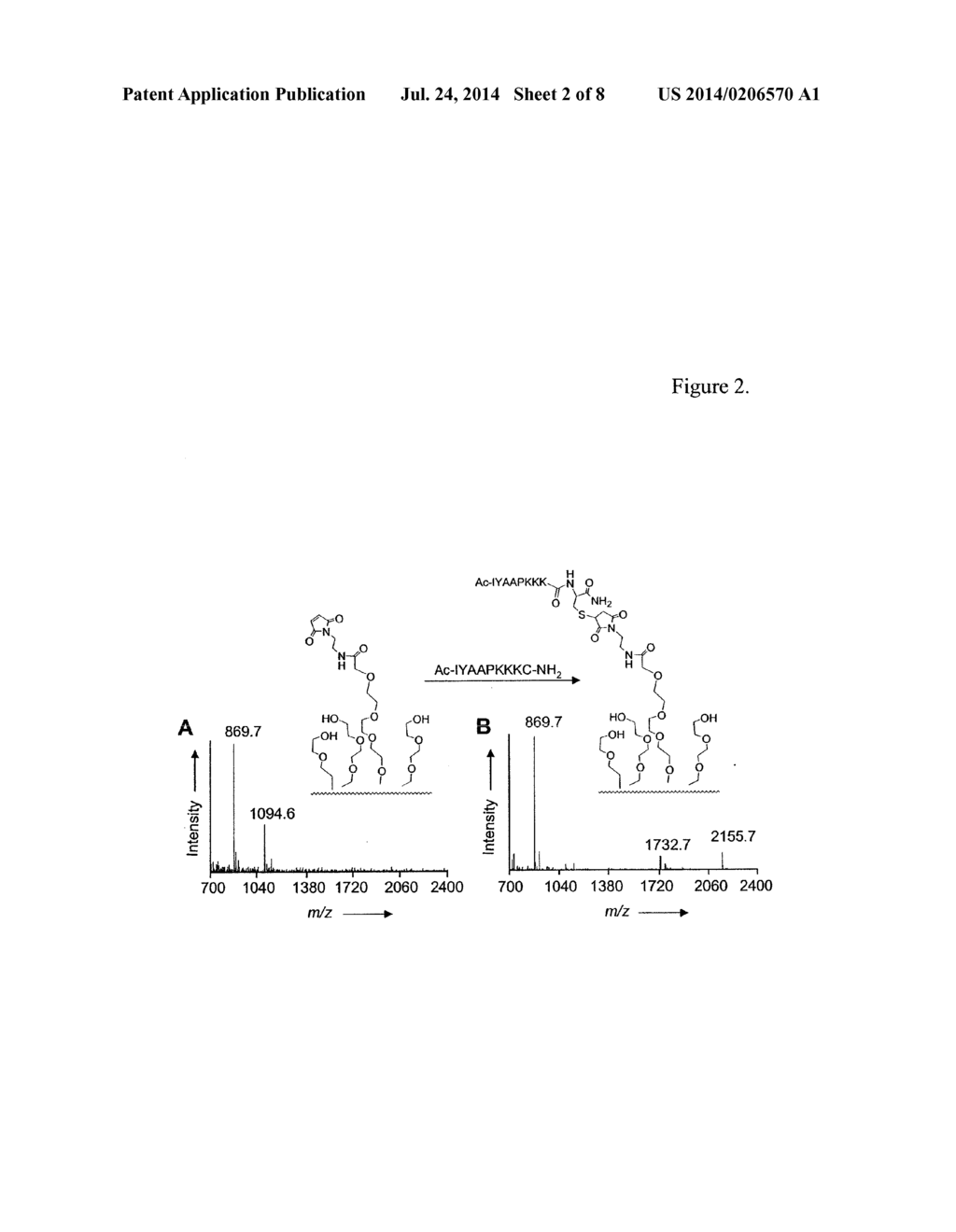 Characterization of biochips containing self-assembled monolayers - diagram, schematic, and image 03