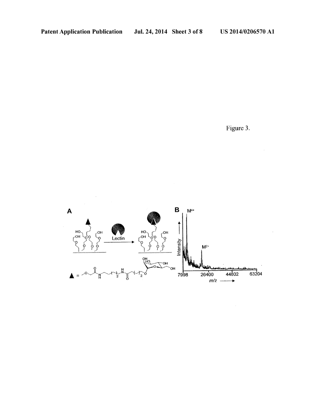 Characterization of biochips containing self-assembled monolayers - diagram, schematic, and image 04