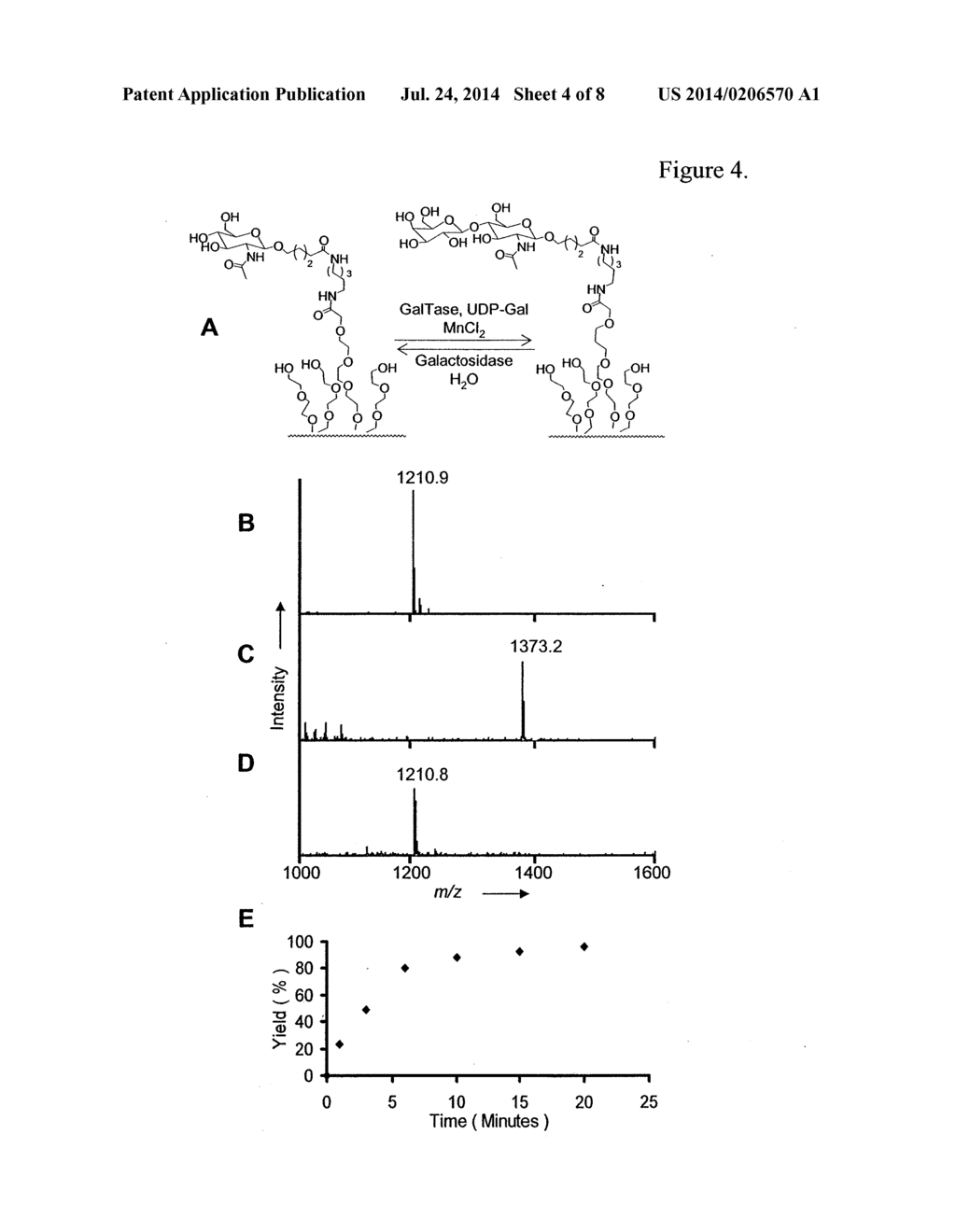 Characterization of biochips containing self-assembled monolayers - diagram, schematic, and image 05