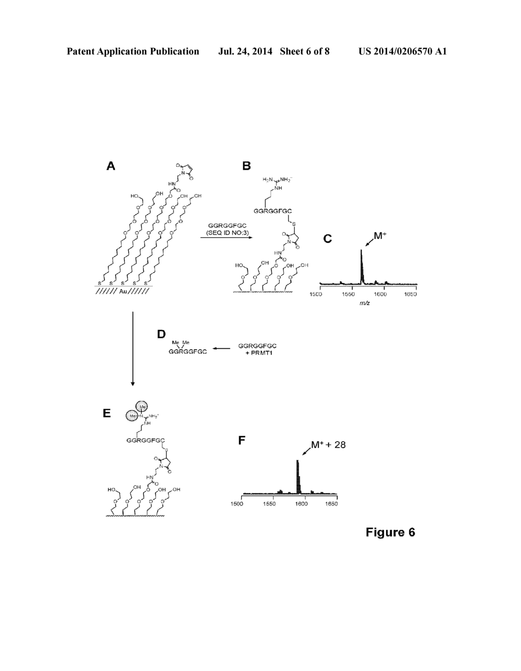 Characterization of biochips containing self-assembled monolayers - diagram, schematic, and image 07