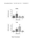 OVARIAN MARKERS OF FOLLICULAR MATURITY AND USES THEREOF diagram and image