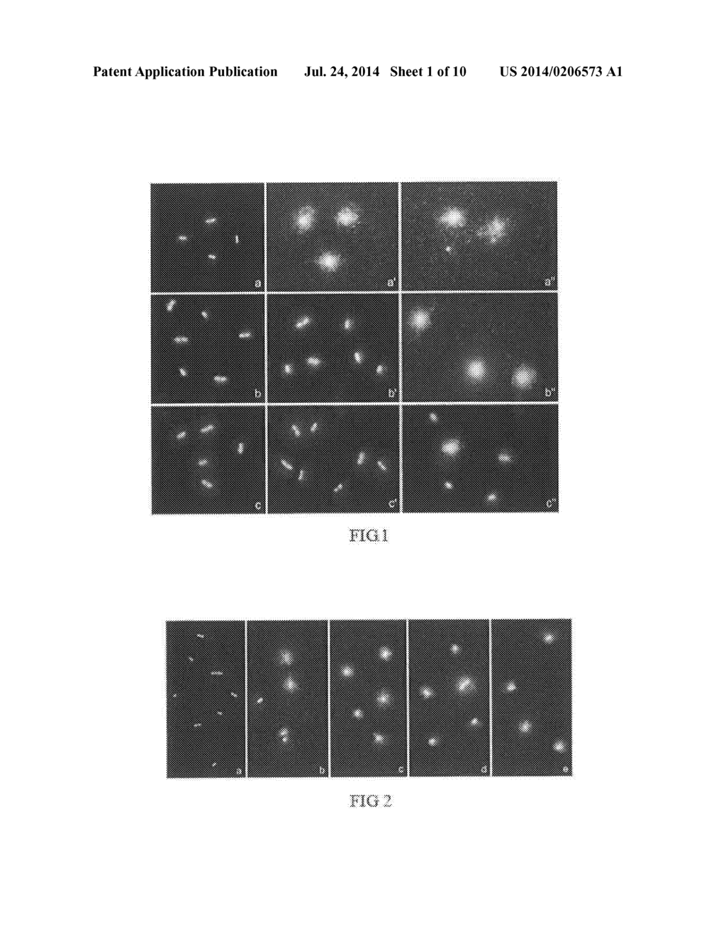 METHOD FOR EVALUATING BACTERIAL CELL WALL INTEGRITY - diagram, schematic, and image 02