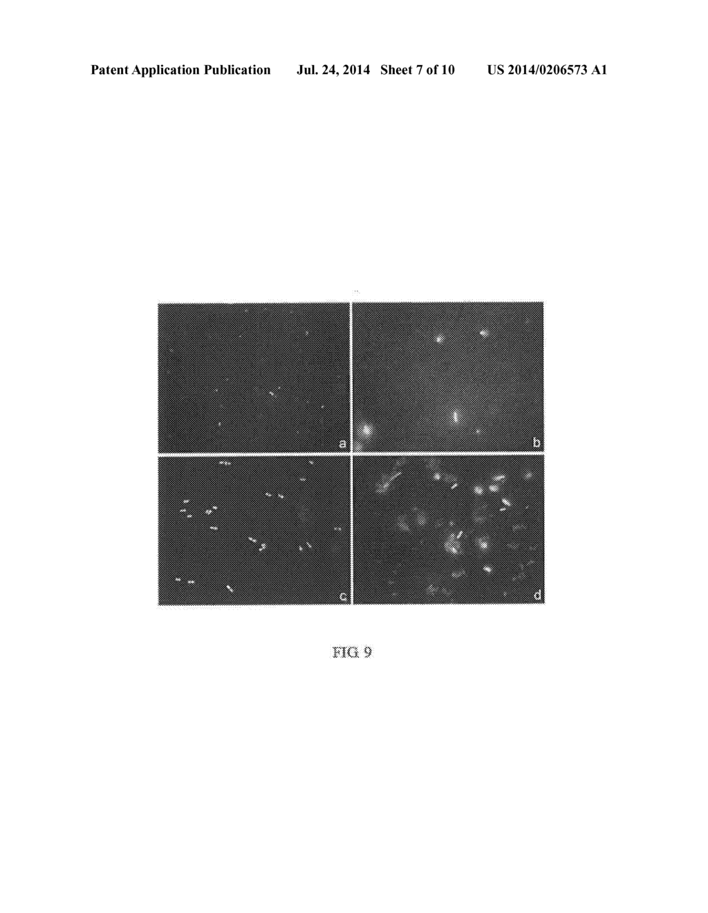 METHOD FOR EVALUATING BACTERIAL CELL WALL INTEGRITY - diagram, schematic, and image 08