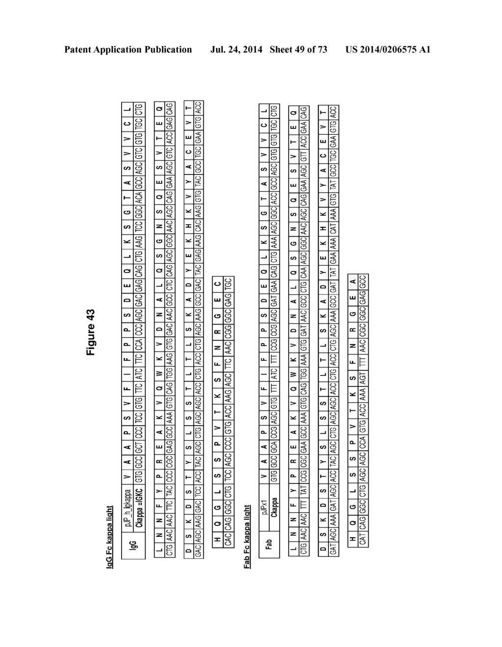 Collection and Methods For Its Use - diagram, schematic, and image 50