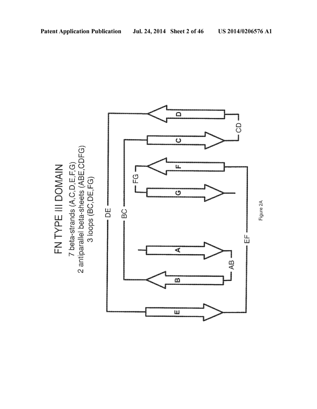 UNIVERSAL FIBRONECTIN TYPE III BINDING-DOMAIN LIBRARIES - diagram, schematic, and image 03