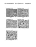 LONG-ACTING INSULIN FORMULATIONS diagram and image