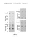 PEPTIDE FOR INDUCING REGENERATION OF TISSUE AND USE THEREOF diagram and image