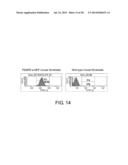 PEPTIDE FOR INDUCING REGENERATION OF TISSUE AND USE THEREOF diagram and image