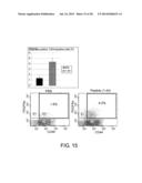 PEPTIDE FOR INDUCING REGENERATION OF TISSUE AND USE THEREOF diagram and image