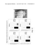 PEPTIDE FOR INDUCING REGENERATION OF TISSUE AND USE THEREOF diagram and image