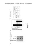 PEPTIDE FOR INDUCING REGENERATION OF TISSUE AND USE THEREOF diagram and image