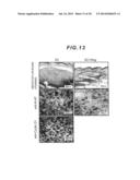 METAL-SALEN COMPLEX COMPOUND, LOCAL ANESTHETIC AND ANTINEOPLASTIC DRUG diagram and image