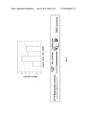 Inhibition of Nonsense Mediated mRNA Decay by Drugs that Prevent     Hypusination of Eukaryotic Initiation Factor 5A diagram and image