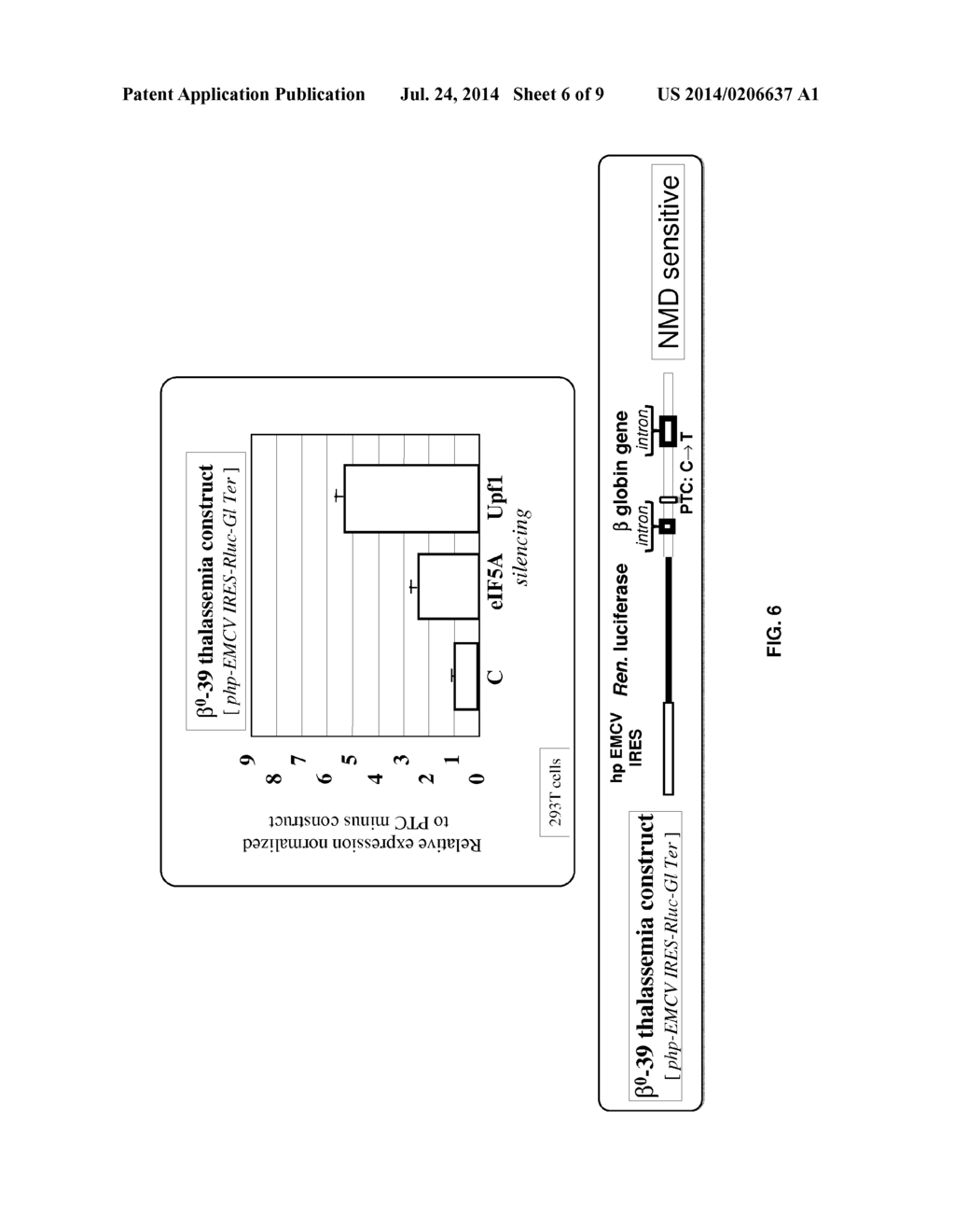 Inhibition of Nonsense Mediated mRNA Decay by Drugs that Prevent     Hypusination of Eukaryotic Initiation Factor 5A - diagram, schematic, and image 07