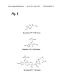 TAZOBACTAM ARGININE ANTIBIOTIC COMPOSITIONS diagram and image