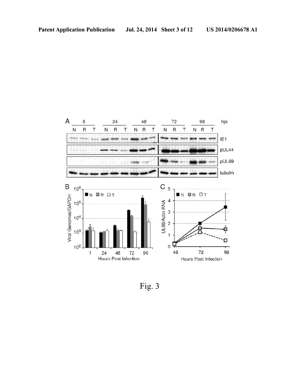 INHIBITORS OF MTOR KINASE AS ANTI -VIRAL AGENT - diagram, schematic, and image 04