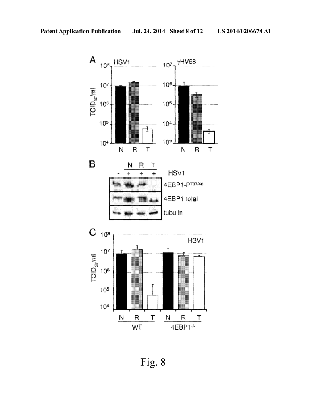 INHIBITORS OF MTOR KINASE AS ANTI -VIRAL AGENT - diagram, schematic, and image 09