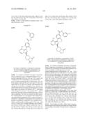 BTK INHIBITORS diagram and image