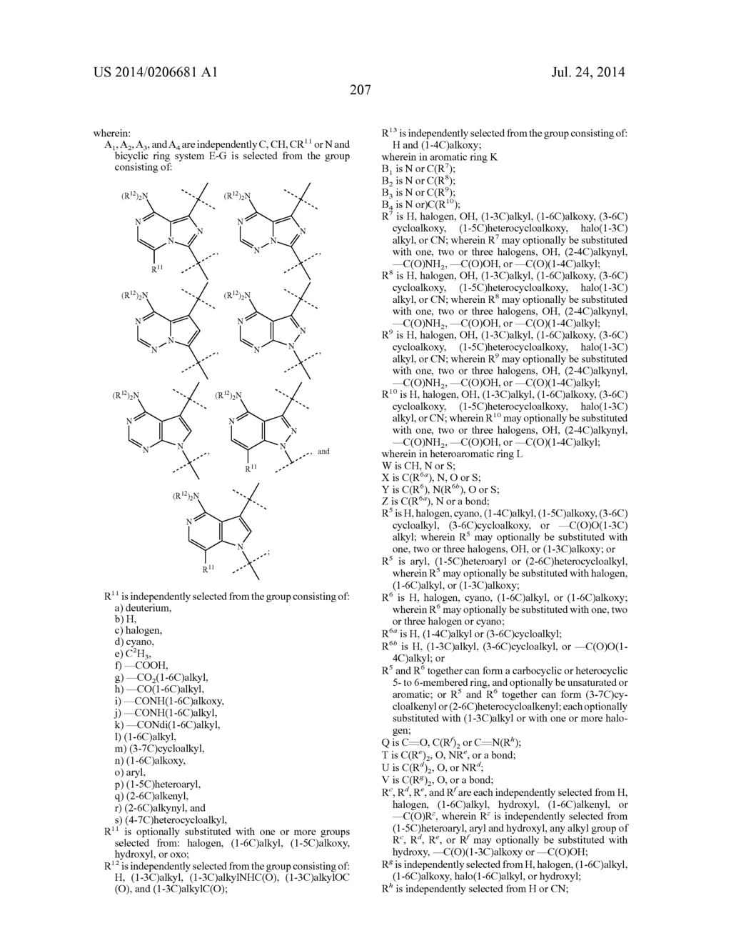 BTK INHIBITORS - diagram, schematic, and image 208