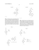 PHTHALAZINONES AND ISOQUINOLINONES AS ROCK INHIBITORS diagram and image